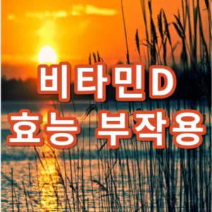 비타민D-효능-부작용-건강